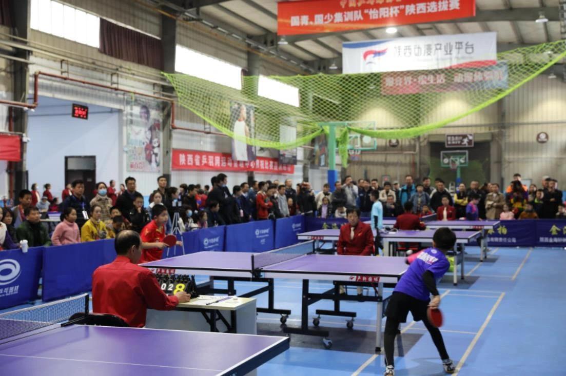 信任感与配 信任感与配